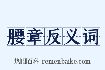 腰章反义词是什么意思的图片